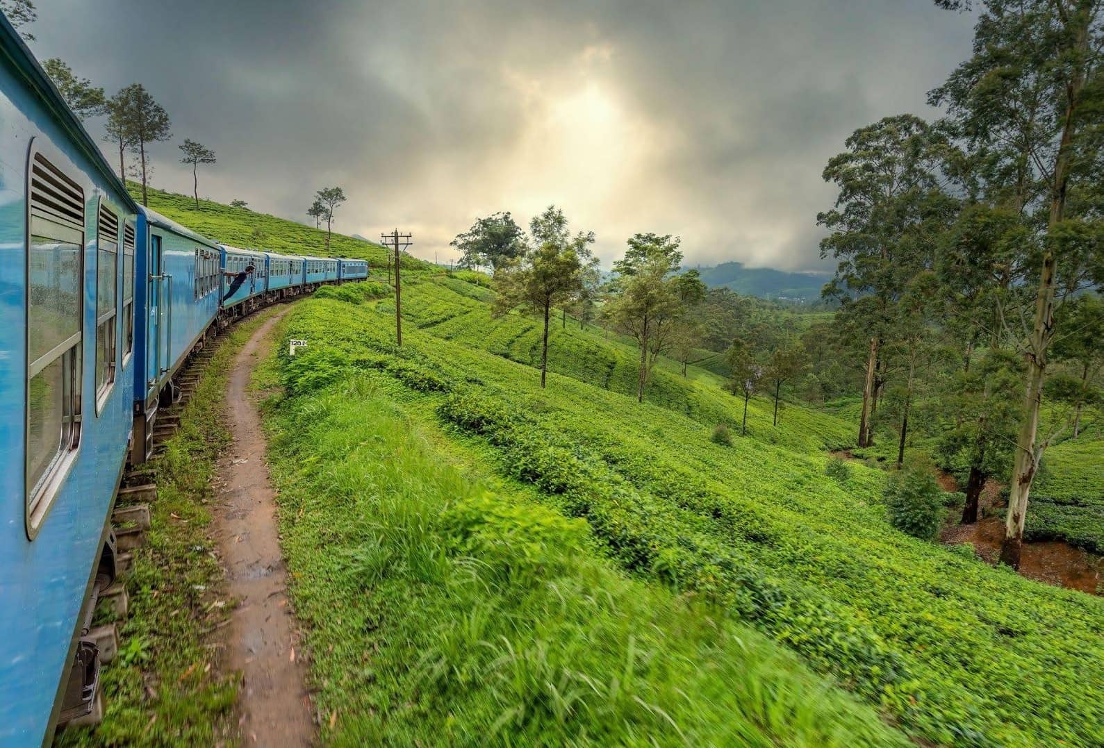 Sri Lanka's verdant countryside